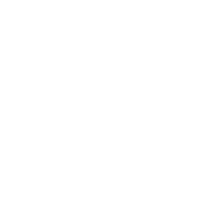 about-values-collab-1
